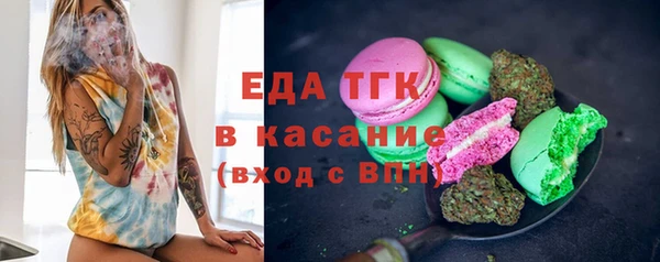 хмурый Абаза