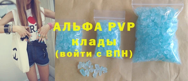 хмурый Абаза