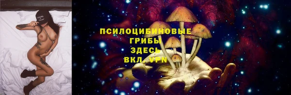 хмурый Абаза