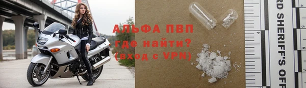 хмурый Абаза