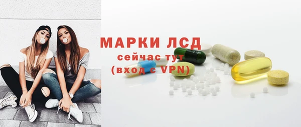 хмурый Абаза