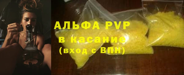 хмурый Абаза