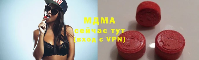 хмурый Абаза
